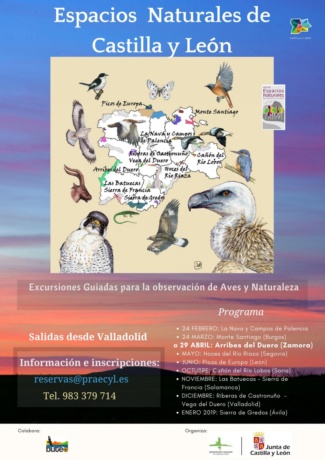 Observación de aves y naturaleza en los Espacios Naturales de Castilla y León